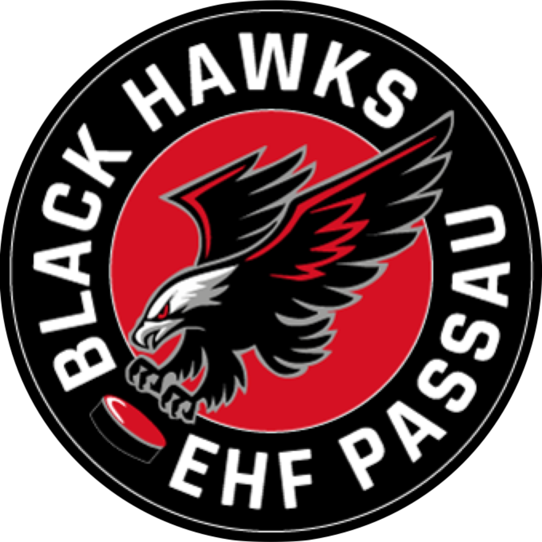 Black Hawks Logo